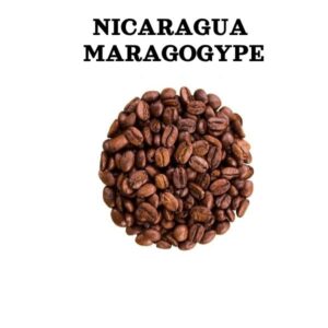 Nikaragvos Maragogype kokybės kava