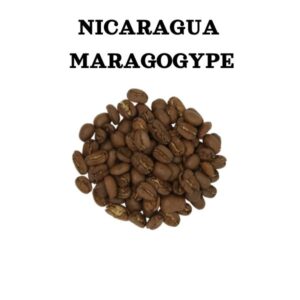 Nikaragvos Maragogype kokybės kava